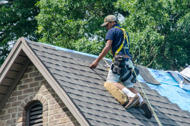 Best Roof Maintenance Services  in Seabrook, MD